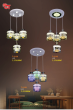 CT 2023 Trang 117