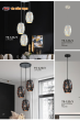 TÂN CƯỜNG THẠNH 2023-2024 Trang 127