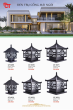 CT 2023 Trang 207