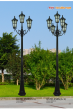 TÂN CƯỜNG THẠNH 2023-2024 Trang 268