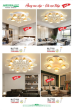ANDORA LIGHT 2025 Trang 309