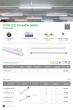 KINGLED 2025 Trang 49