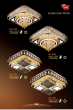 CT 2023 Trang 064