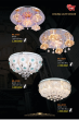 CT 2023 Trang 072