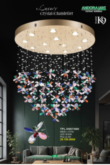 ANDORA LIGHT 2026 Trang 008