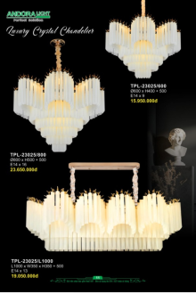 ANDORA LIGHT 2026 Trang 011