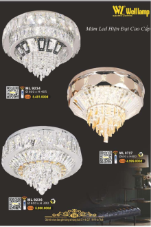 WELL LAMP 2025-2026 Trang 196 WELL LAMP 2025-2026 Trang 196