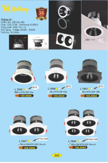 WELL LAMP 2025-2026 Trang 343 WELL LAMP 2025-2026 Trang 343