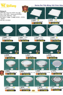 WELL LAMP 2025-2026 Trang 345 WELL LAMP 2025-2026 Trang 345
