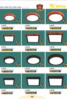 WELL LAMP 2025-2026 Trang 348 WELL LAMP 2025-2026 Trang 348