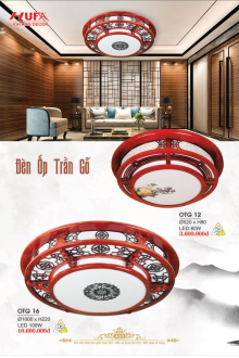 HUFA 2025 Trang 433 HUFA 2025 Trang 433