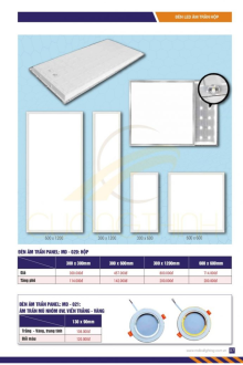 MD LIGHTING 2023-2025 Trang 05 MD LIGHTING 2023-2025 Trang 05