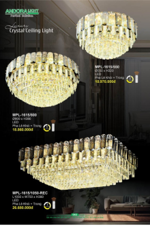 ANDORA LIGHT 2025 Trang 063 ANDORA LIGHT 2025 Trang 063