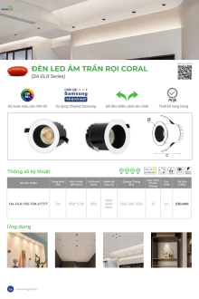 KINGLED 2025 Trang 13 KINGLED 2025 Trang 13