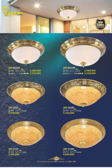 BÌNH MINH 2023 Trang 209 BÌNH MINH 2023 Trang 209