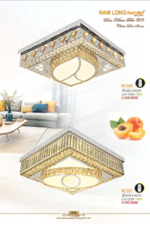 NAM LONG 2025-2026 Trang 216 NAM LONG 2025-2026 Trang 216