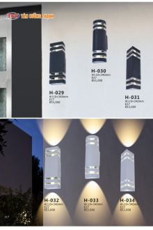 TÂN CƯỜNG THẠNH 2023-2024 Trang 217 TÂN CƯỜNG THẠNH 2023-2024 Trang 217