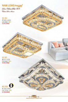 NAM LONG 2025-2026 Trang 217 NAM LONG 2025-2026 Trang 217