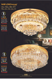 NAM LONG 2025-2026 Trang 221 NAM LONG 2025-2026 Trang 221