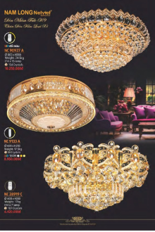 NAM LONG 2025-2026 Trang 223 NAM LONG 2025-2026 Trang 223