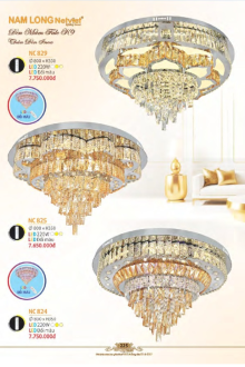 NAM LONG 2025-2026 Trang 225 NAM LONG 2025-2026 Trang 225