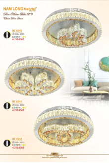 NAM LONG 2025-2026 Trang 231 NAM LONG 2025-2026 Trang 231