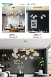 ANDORA LIGHT 2026 Trang 233