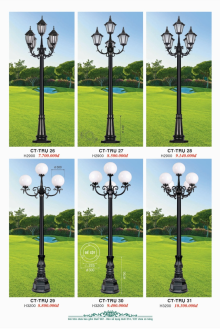 CT 2023 Trang 238 CT 2023 Trang 238