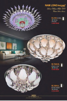 NAM LONG 2025-2026 Trang 238 NAM LONG 2025-2026 Trang 238