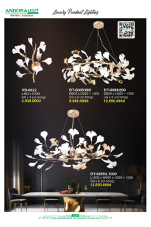 ANDORA LIGHT 2026 Trang 239