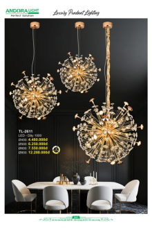 ANDORA LIGHT 2026 Trang 241