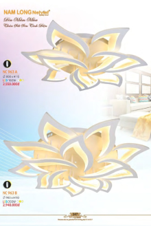 NAM LONG 2025-2026 Trang 247 NAM LONG 2025-2026 Trang 247