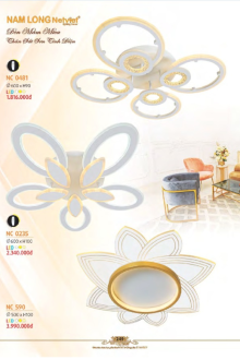 NAM LONG 2025-2026 Trang 249 NAM LONG 2025-2026 Trang 249