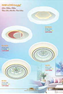 NAM LONG 2025-2026 Trang 259 NAM LONG 2025-2026 Trang 259