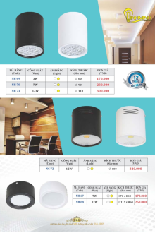 BÌNH MINH 2023 Trang 264 BÌNH MINH 2023 Trang 264