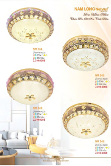 NAM LONG 2025-2026 Trang 264 NAM LONG 2025-2026 Trang 264