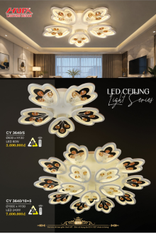 HUFA 2027 Trang 274