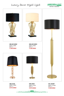 ANDORA LIGHT 2026 Trang 312