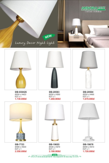 ANDORA LIGHT 2026 Trang 316