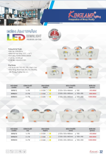 KING LAMP 2023-2024 Trang 32 KING LAMP 2023-2024 Trang 32