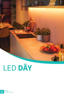 CATALO PHILLIP 2025 Trang 30