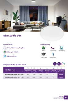 CATALO PHILLIP 2025 Trang 63