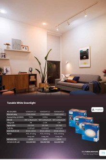 CATALO PHILLIP 2025 Trang 79