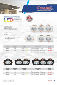KING LAMP 2023-2024 Trang 36 KING LAMP 2023-2024 Trang 36