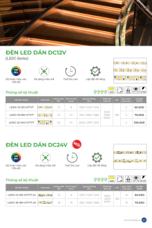 KINGLED 2025 Trang 36 KINGLED 2025 Trang 36