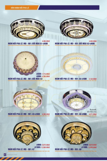 MD LIGHTING 2023-2025 Trang 37 MD LIGHTING 2023-2025 Trang 37