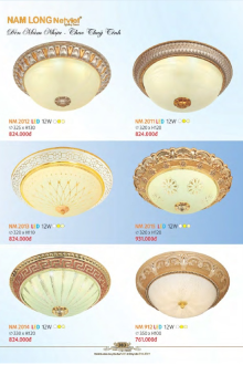 NAM LONG 2025-2026 Trang 383 NAM LONG 2025-2026 Trang 383