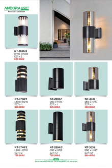 ANDORA LIGHT 2025 Trang 453 ANDORA LIGHT 2025 Trang 453