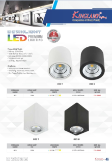 KING LAMP 2023-2024 Trang 46 KING LAMP 2023-2024 Trang 46