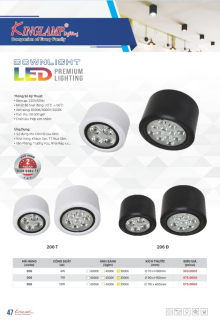 KING LAMP 2023-2024 Trang 47 KING LAMP 2023-2024 Trang 47